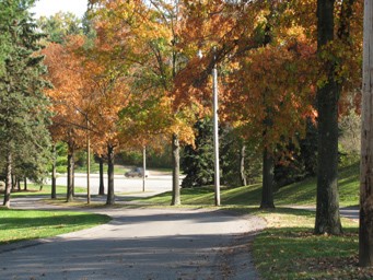Glencannon Drive in the fall